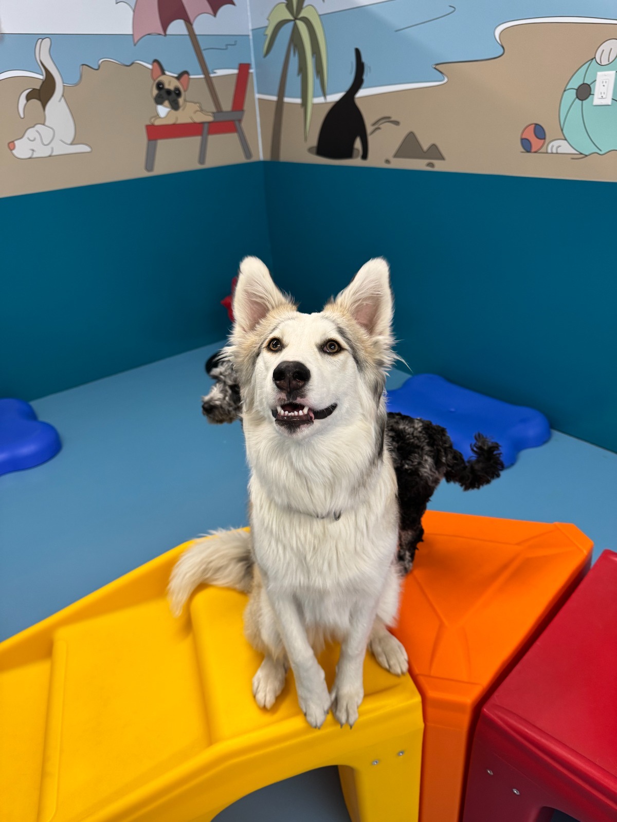 Playroom Beach