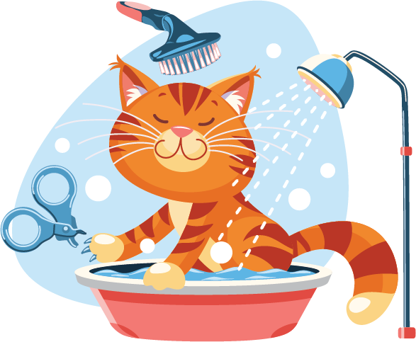 Cat Grooming