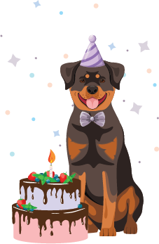 dog birthday icon
