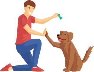 Dog Training