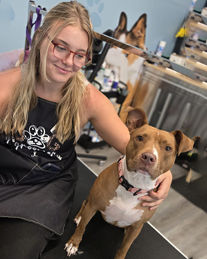 Dog groomer