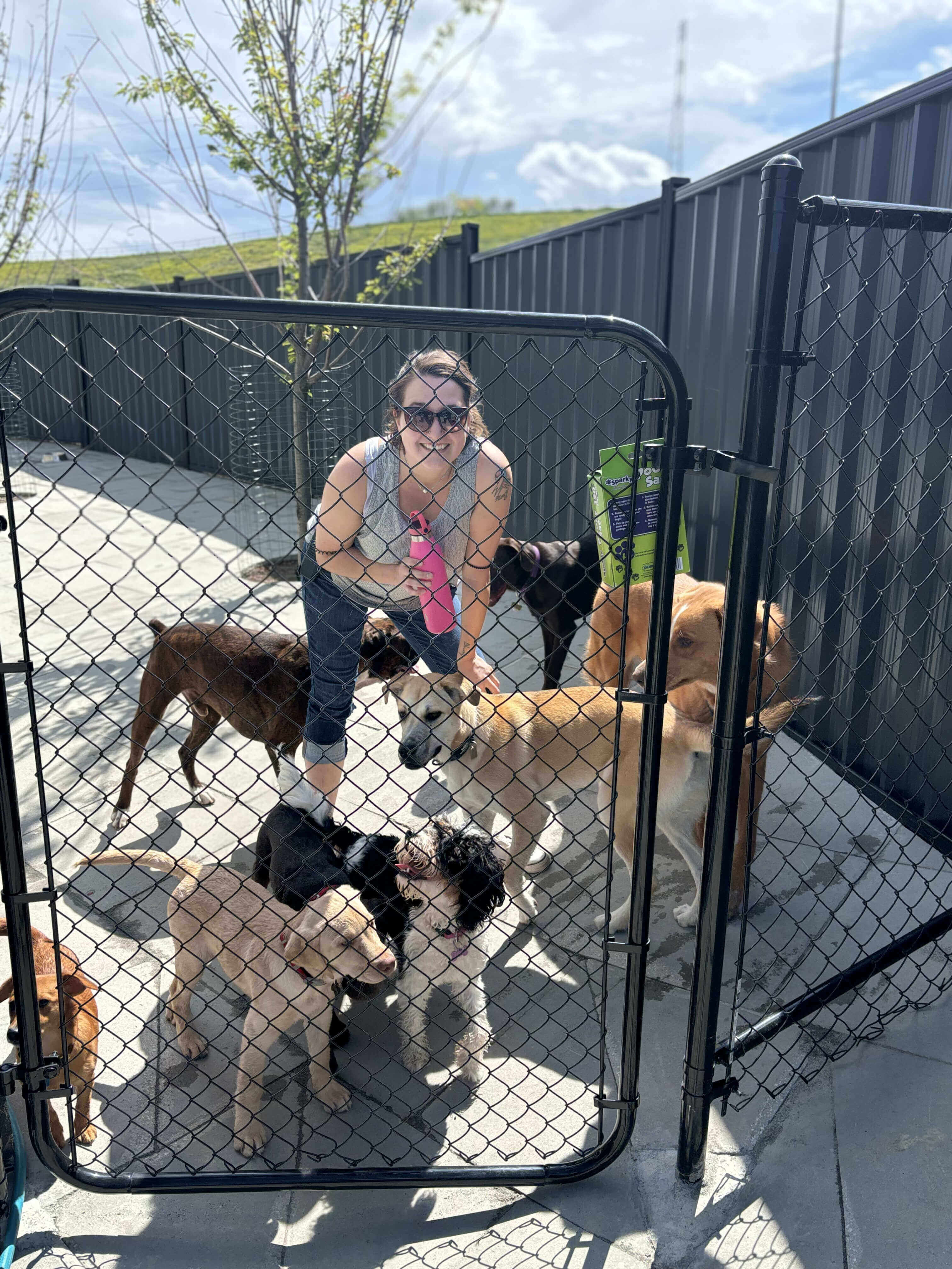 Dog Daycare in Calgary