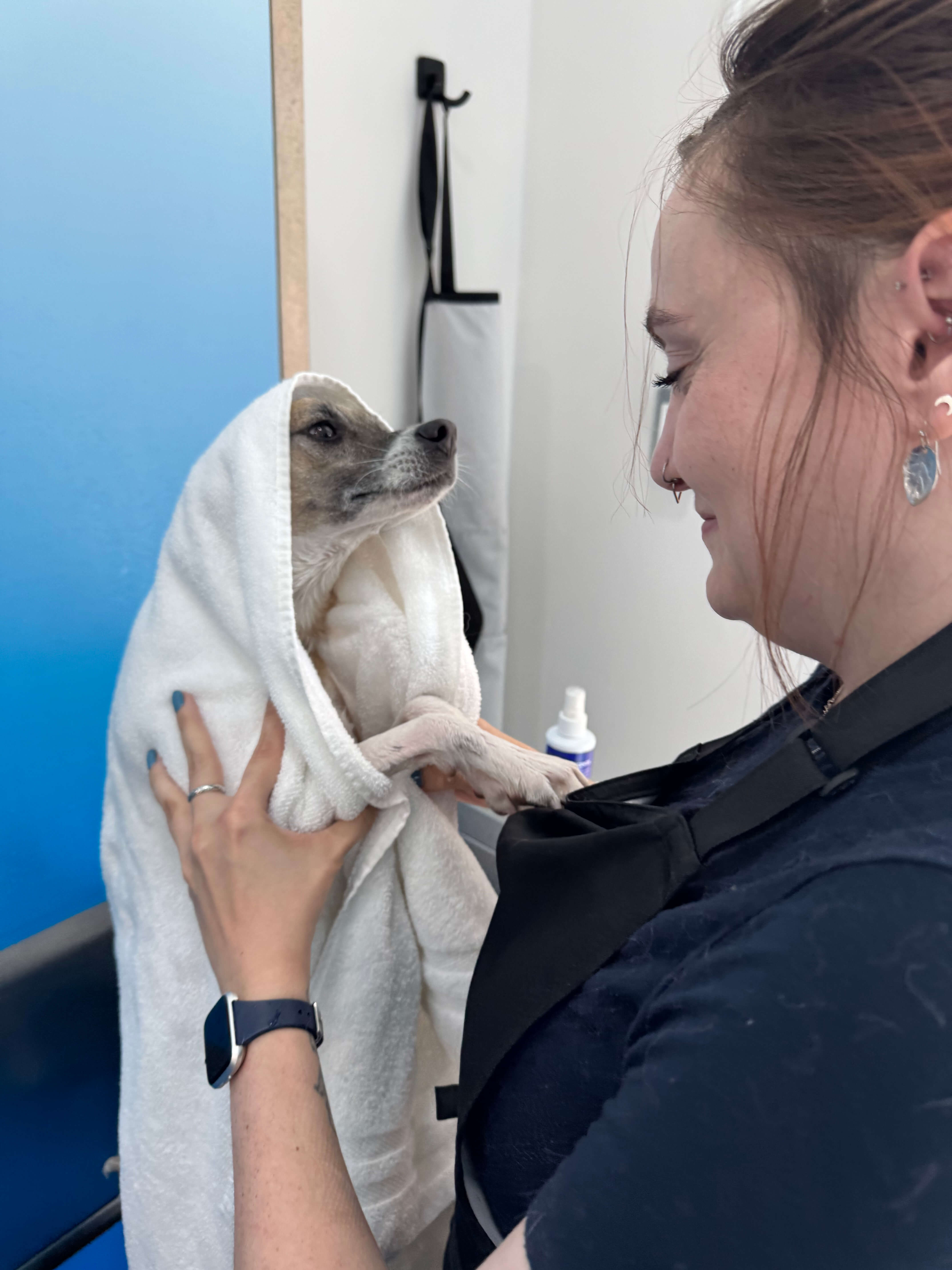 Dog Massage Room