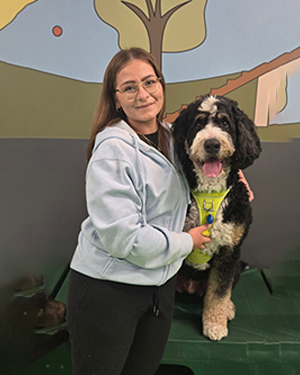 Pet Food & Accessories