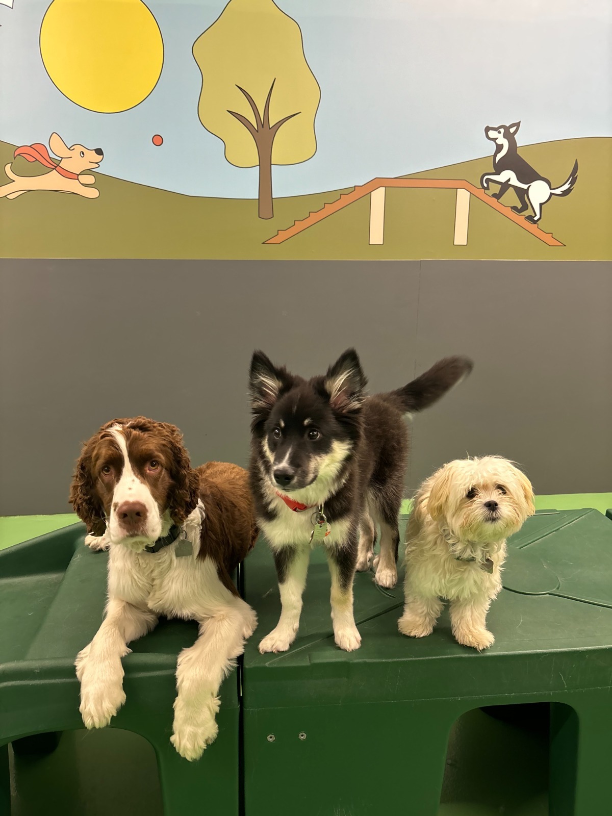 Playroom Park