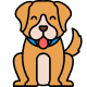 Dog Day Care